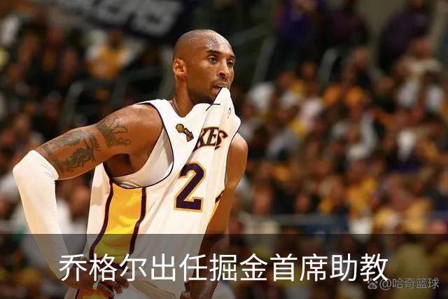 乔格尔出任掘金首席助教